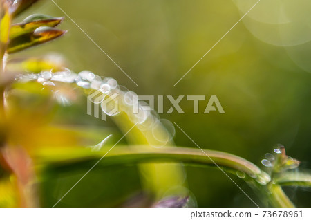 Natural modeling: Ring of light 73678961
