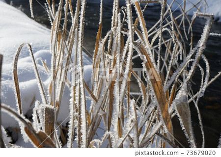 遠野市寒冷的早晨 73679020