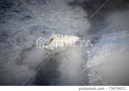 遠野市寒冷的早晨 73679021