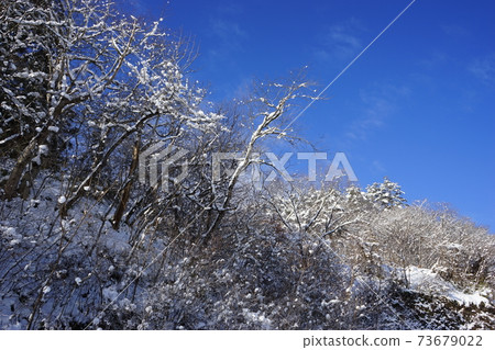 遠野市寒冷的早晨 73679022