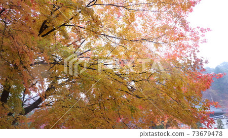 Woljeongsa寺 Woljeongsa寺 73679478