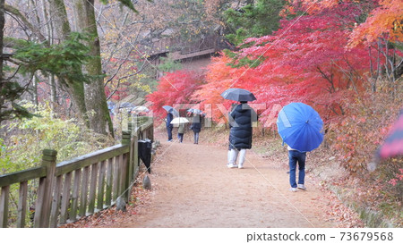 Woljeongsa寺 73679568