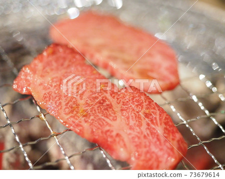 Japanese Black Beef Yakiniku A5 (Kalbi) 73679614