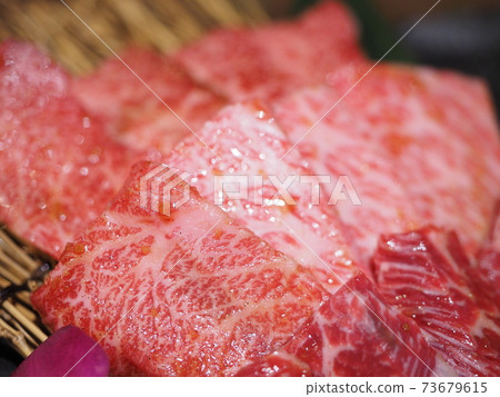 Japanese Black Beef Yakiniku A5 (Kalbi) 73679615