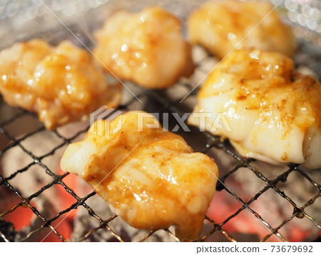 黑毛和牛激素烤肉A5(Techan) 黑毛和牛激素烤肉A5(Techan) 73679692