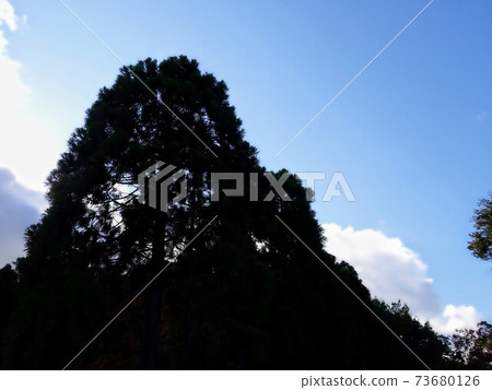 天空,雲層和陰影 天空,雲層和陰影 73680126