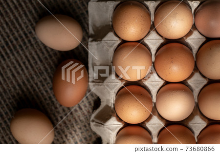 Closeup on fresh chicken eggs on carton with sunlight Closeup on fresh chicken eggs on carton with sunlight 73680866