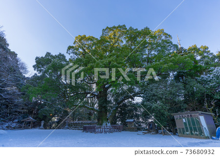 Chikugo Kuniichinomiya Takara Taisha Shrine Kurume City, Fukuoka Prefecture 73680932