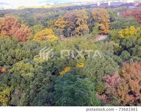 秋葉和市容 秋葉和市容 73681981
