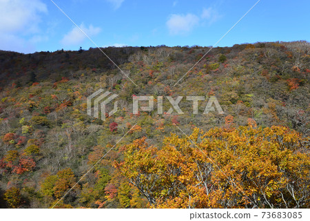 Nasu Heisei no Mori / Komadome Waterfall # 4 Nasu Heisei no Mori / Komadome Waterfall # 4 73683085