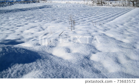 大雪把田野染成純白色 大雪把田野染成純白色 73683572