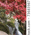The flow of the waterfall beyond the autumn leaves 73683987