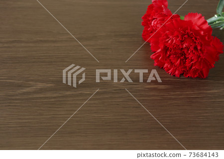 Carnation on the desk 4 73684143