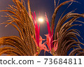 golden feathers of carnival over the night illuminated sky 73684811