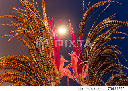 golden feathers of carnival over the night illuminated sky golden feathers of carnival over the night illuminated sky 73684811
