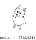 博美犬和巴比龍狗 73684841
