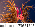 golden feathers of carnival over the night illuminated sky 73684845