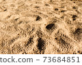 background with texture of sand and dune in the summer 73684851