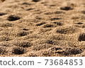 background with texture of sand and dune in the summer 73684853