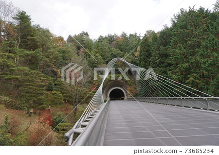 美穗美術館前的路 美穗美術館前的路 73685234