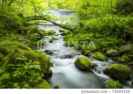 春天在北谷澤山 73685439