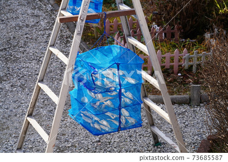 Sunfish of small fish Sunfish of small fish 73685587