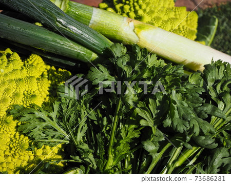 綠色蔬菜 73686281