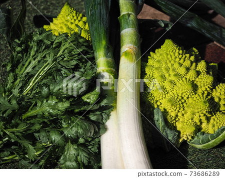綠色蔬菜 綠色蔬菜 73686289