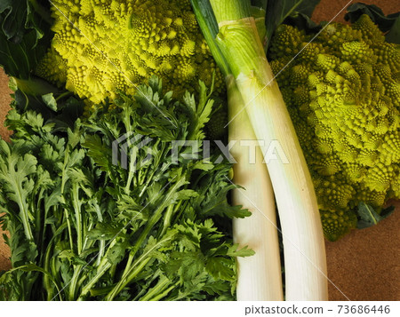 Green vegetables Green vegetables 73686446