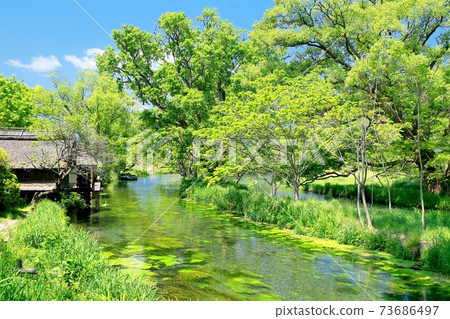 Daio Wasabi Farm的水磨坊 73686497