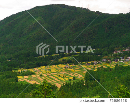 在京都Minayin區的田田遙遠的景色 73686558