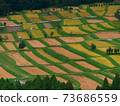 京都Minoin區的Tanada 73686559