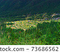在京都Minayin區的田田遙遠的景色 73686562