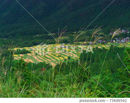 A distant view of rice terraces in the Minai district of Kyoto 73686562