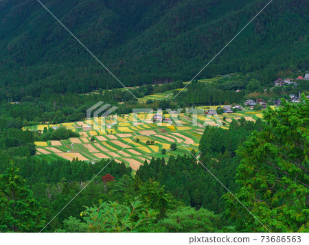 在京都Minayin區的田田遙遠的景色 73686563