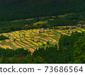 在京都Minayin區的田田遙遠的景色 73686564