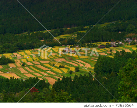在京都Minayin區的田田遙遠的景色 在京都Minayin區的田田遙遠的景色 73686564