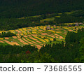 在京都Minayin區的田田遙遠的景色 73686565