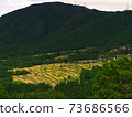 在京都Minayin區的田田遙遠的景色 73686566