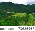 在京都Minayin區的田田遙遠的景色 73686567