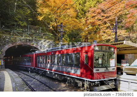 箱根山區鐵路2000型[秋天塔野澤站]神奈川縣 73686901