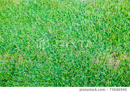 Green fresh grass texture football field 73686940