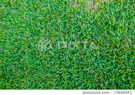 Green fresh grass texture football field 73686941