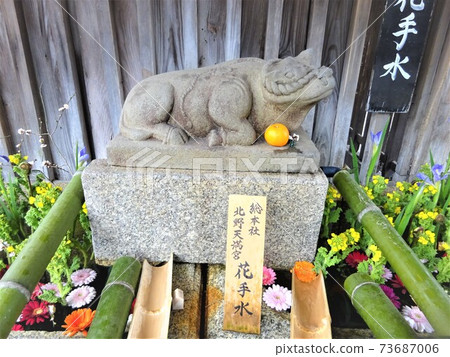 北野天滿宮神社花水牛雕像撫摸牛 73687006