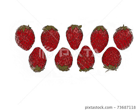 草莓排成一排和兩排 73687118