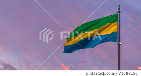 3d rendering of the national flag of the Gabon 73687153