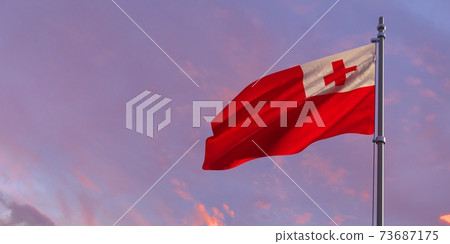 3d rendering of the national flag of the Tonga 73687175