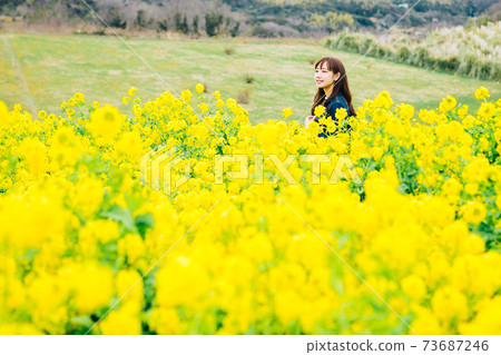 A woman standing in a rape field 73687246
