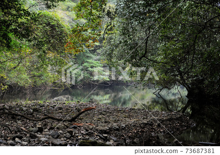 山口縣下關市菊川町中山木的寧靜湖濱風光 山口縣下關市菊川町中山木的寧靜湖濱風光 73687381