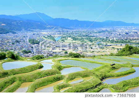 Tanada稻田的春天 73687608